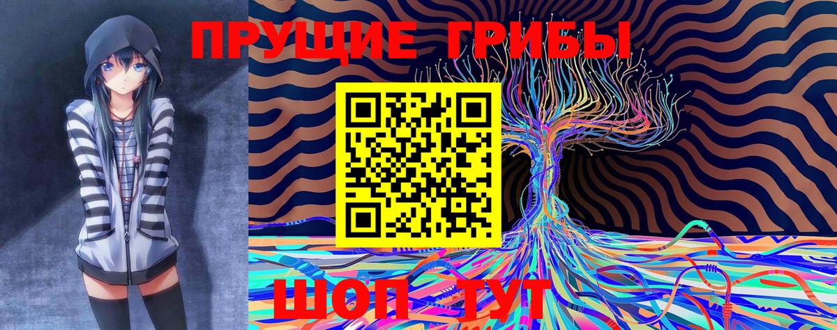 Мытищи  Псилоцибиновые грибы мухоморы  Вход с VPN 